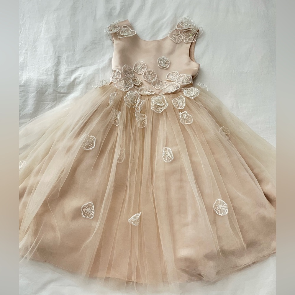 PRINCESS DALIANA EMMIE FLORAL APPLIQUE TULLE FLOWER GIRL DRESS // ROSE